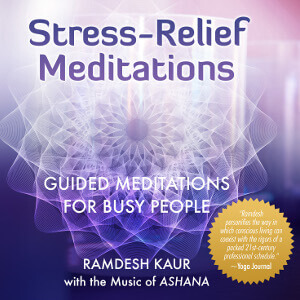 Stress Relief Meditations by Dr. Ramdesh - album cover