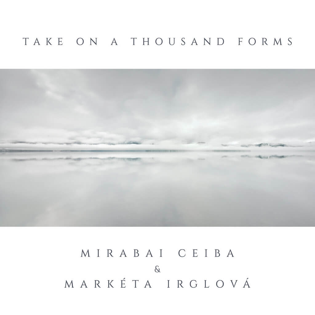 Take On A Thousand Forms by Mirabai Ceiba - album cover