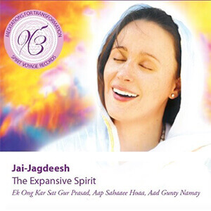 Meditations for Transformation: The Expansive Spirit by Jai-Jagdeesh - album cover